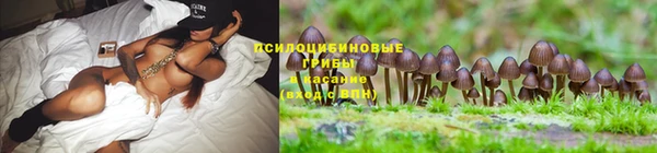 трава Магадан
