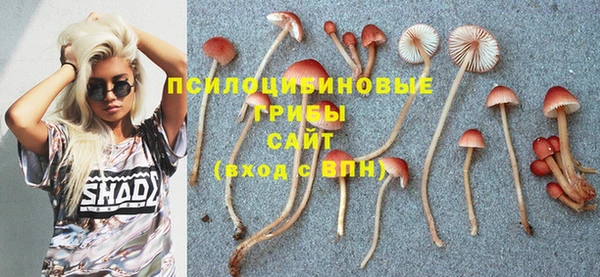 трава Майский