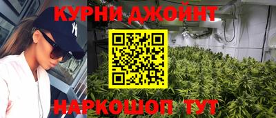 шишки Заволжье