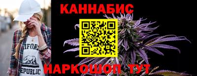 шишки Заволжье