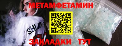 шишки Заволжье
