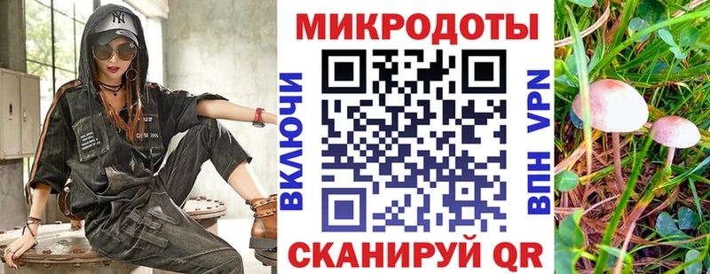 Псилоцибиновые грибы ЛСД Северск