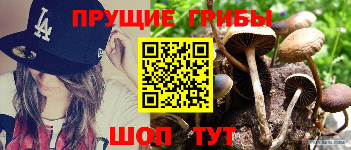 Северск  Псилоцибиновые грибы ЛСД  Вход с VPN 